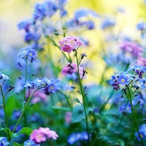 Marketing Review - Spring 2021