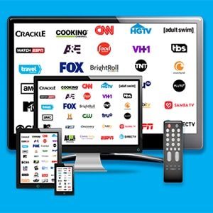 Connected TV (CTV) - National Pizza Franchisee Campaign