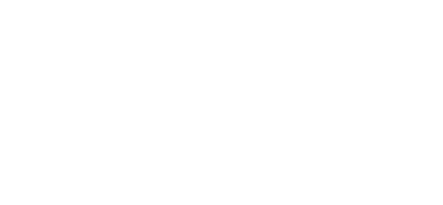 Triadex Services